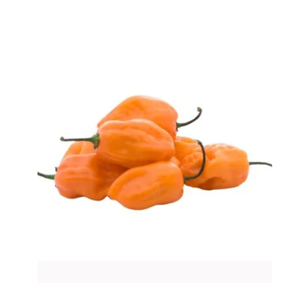 Chile habanero naranja