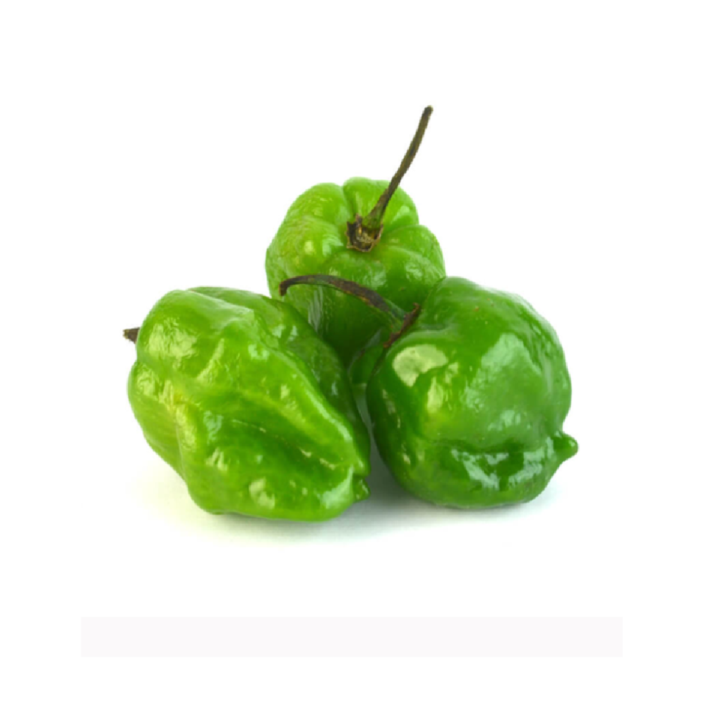 Chile habanero verde
