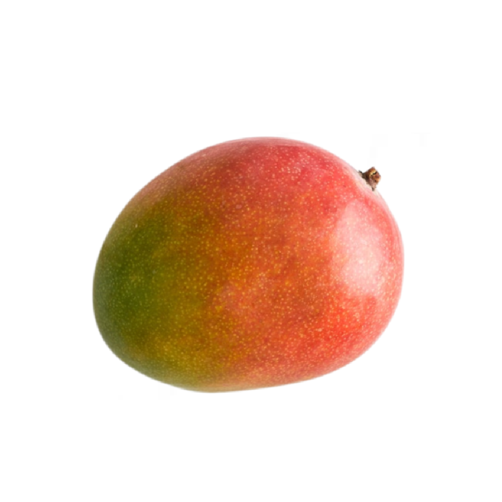 Mango Tommy Atkins