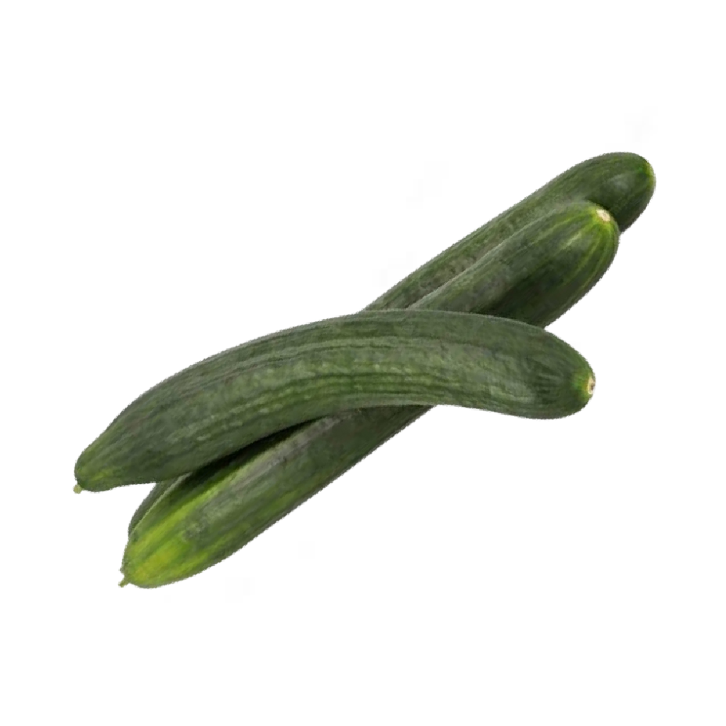 Pepino europeo Cucumis sativus